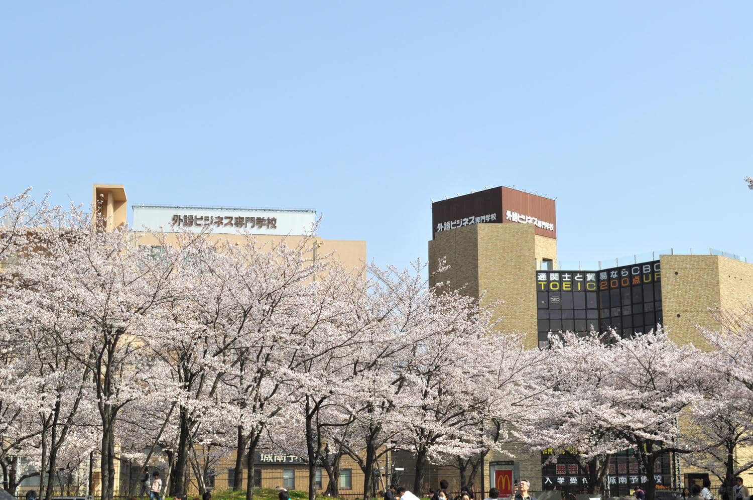 外語商業專門學校 - 精選圖片